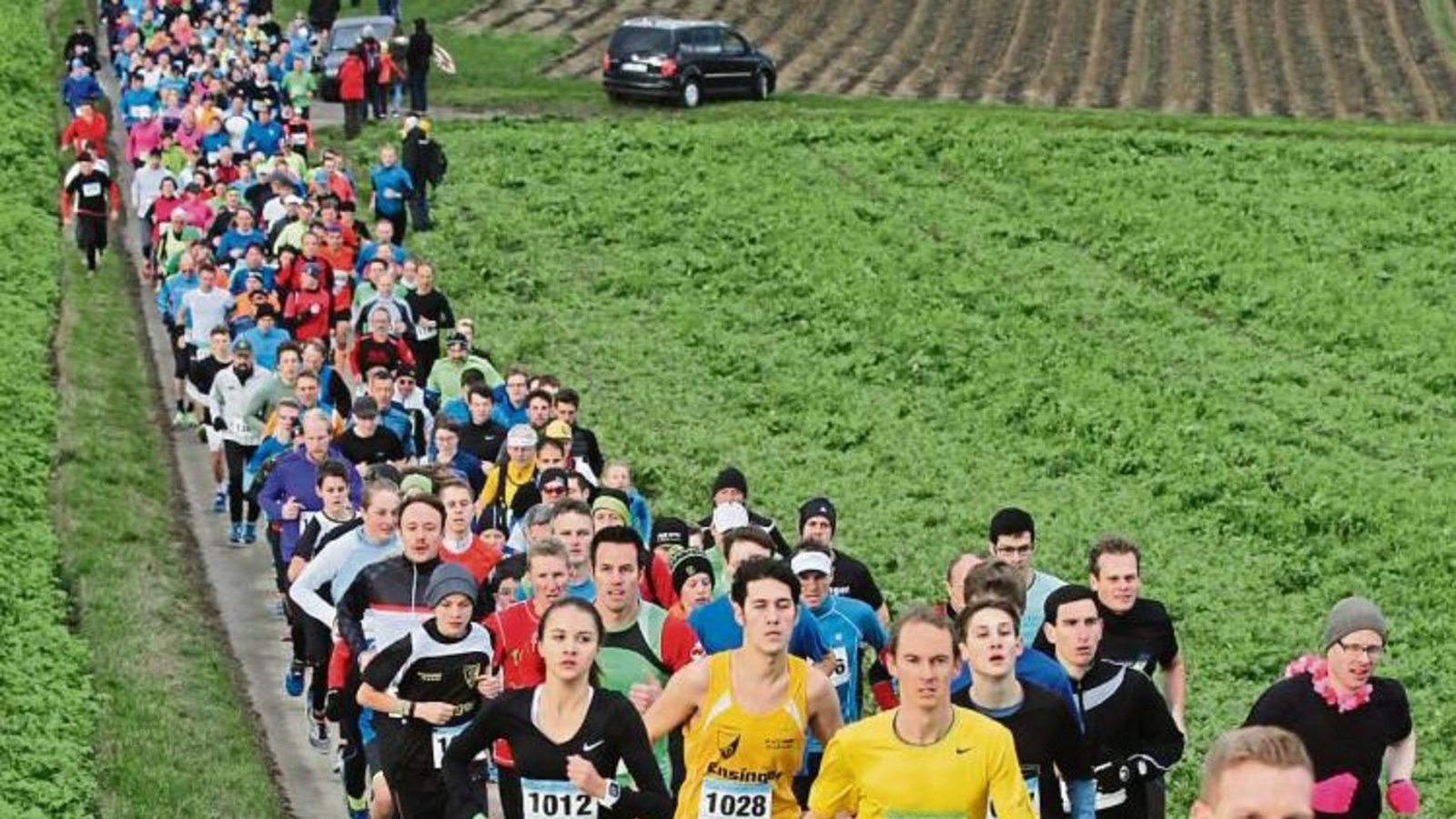 Dicht gedrängt schleppen sich die Läufer nach dem Start den Anstieg hoch. Insgesamt muss dieser beim Einsteigerlauf zweimal und beim Panoramalauf dreimal bewältigt werden. Fotos: Nachreiner Dicht gedrängt schleppen sich die Läufer nach dem Start den Anstieg hoch. Insgesamt muss dieser beim Einsteigerlauf zweimal und beim Panoramalauf dreimal bewältigt werden. Fotos: Nachreiner