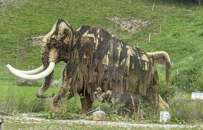 Auch die lebensechte Nachbildung eines Wollhaarmammuts, ausgeführt einst mit Pferdehaaren, verrottet.<span class='image-autor'>Foto: Rüdiger Bäßler</span>