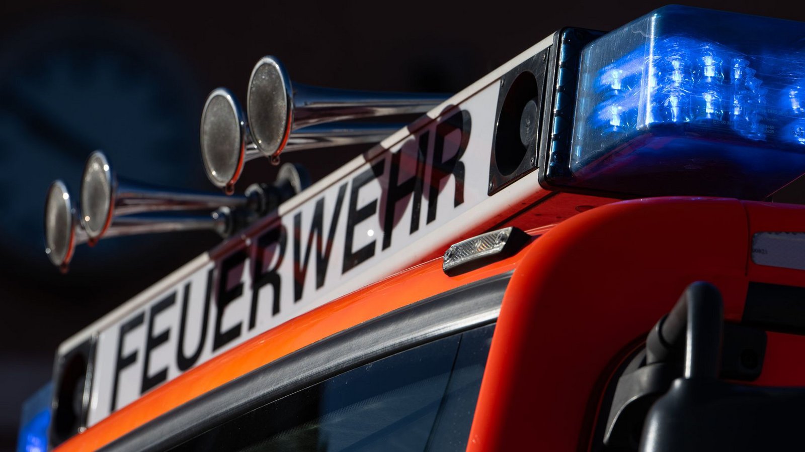 Die Feuerwehr war im Einsatz, um das Pferd zu bergen.Foto: dpa/Marijan Murat
