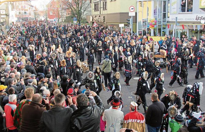 Heimspiel: Rund 250 Urzeln führten den Narrenumzug anlässlich des 50-jährigen Bestehens der Urzelnzunft Sachsenheim an.  Fotos: Elsässer