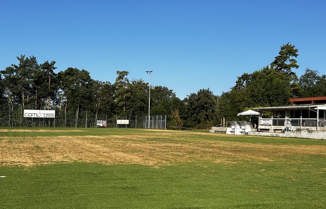 Der Rasenpilz in Nussdorf verursacht große braune Flächen und macht das Fußballspielen unmöglich. <span class='image-autor'>Foto: Dittrich</span>