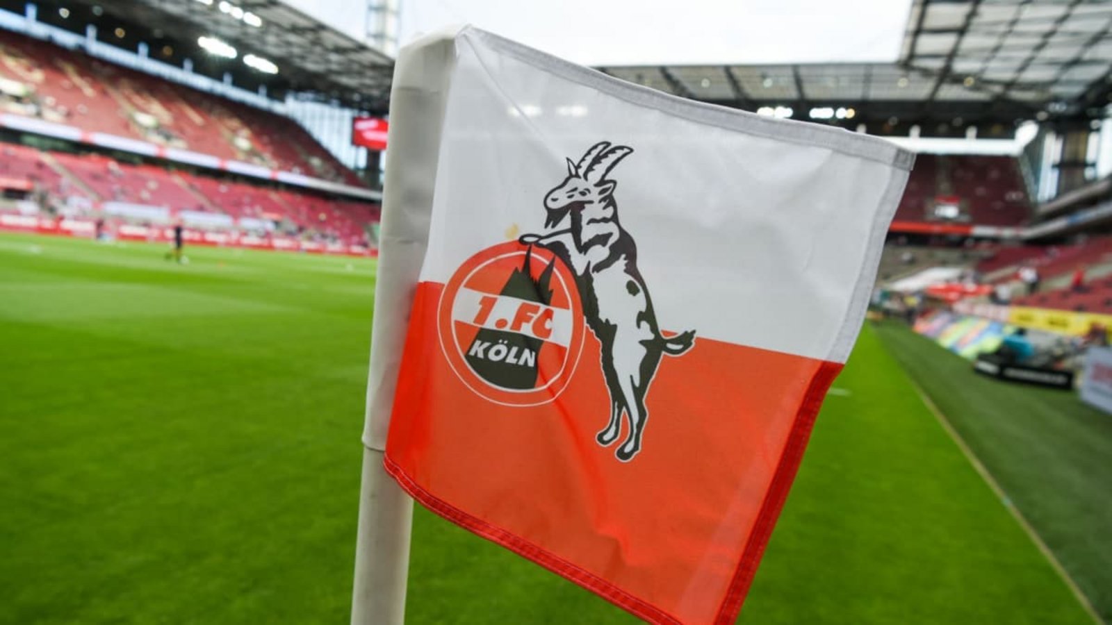 Der 1. FC Köln trifft in der Vorbereitung auf den SV Bergisch Gladbach 09.Christophe Gateau/dpa Der 1. FC Köln trifft in der Vorbereitung auf den SV Bergisch Gladbach 09.Christophe Gateau/dpa