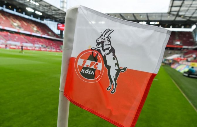 Der 1. FC Köln trifft in der Vorbereitung auf den SV Bergisch Gladbach 09.<span class='image-autor'>Christophe Gateau/dpa</span>