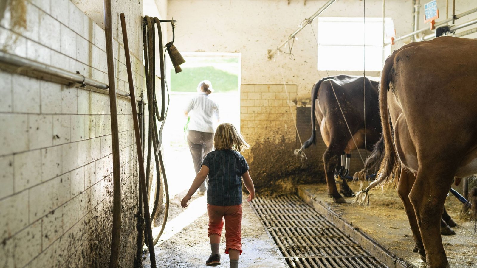 Kinder, die auf einem Bauernhof groß werdenFoto: imago images / Westend61/Francesco Buttitta Kinder, die auf einem Bauernhof groß werdenFoto: imago images / Westend61/Francesco Buttitta