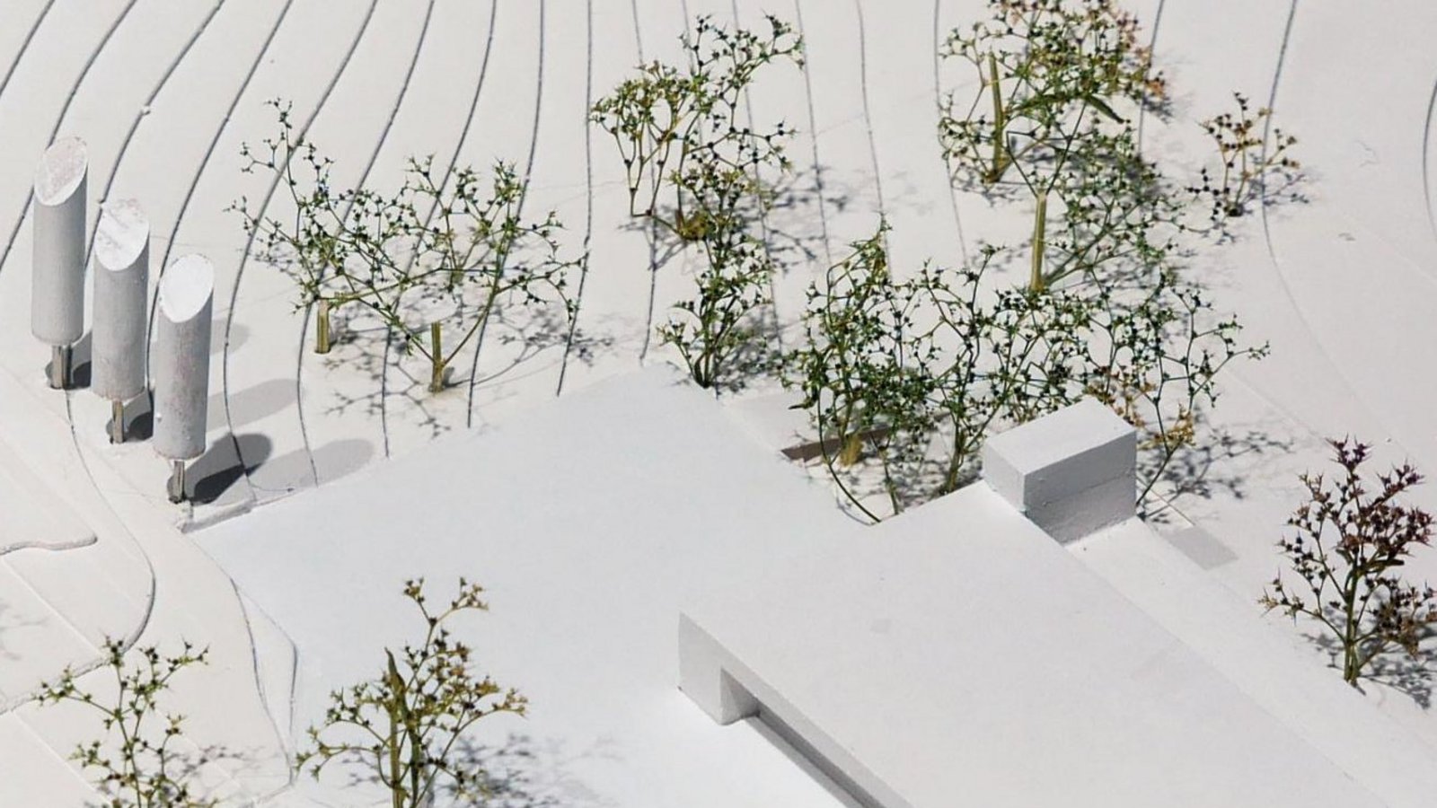 Dieser Entwurf hat das Preisgericht am meisten überzeugt.  Foto: p