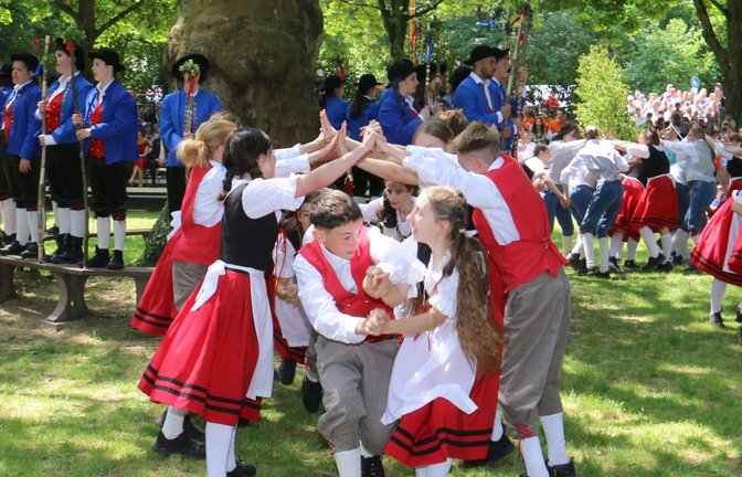 Traditionelles Kinder- und Heimatfest: der Vaihinger Maientag.  <span class='image-autor'>Foto: Archiv/Rücker</span>