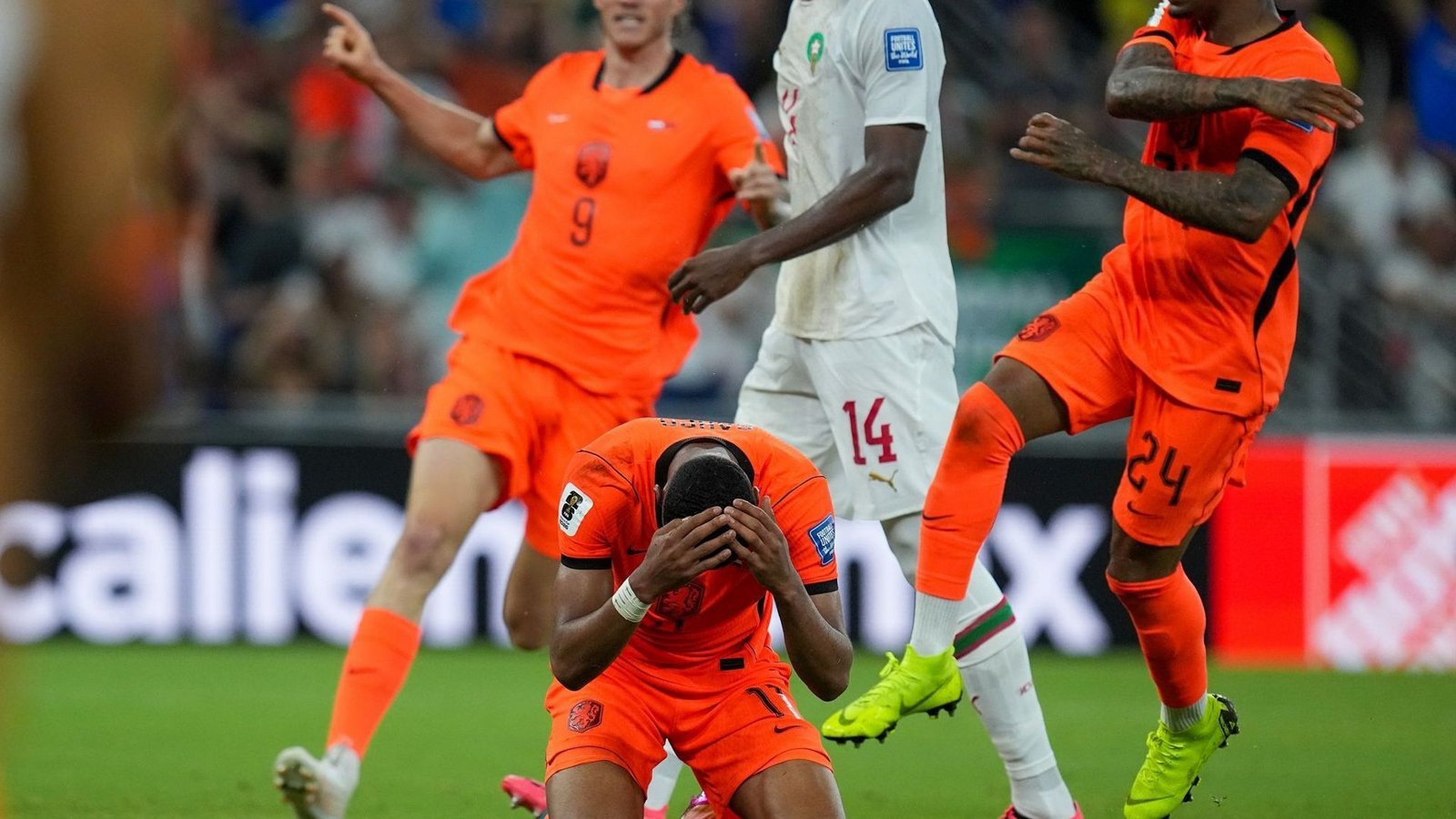 Fußball, Männer: WM, Niederlande - Marokko, Finalrunde, Sechzehntelfinale, Monterrey-Stadion in Guadalupe. Der Niederländer Cody Gakpo jubelt über sein Tor zum 1:0. (zu dpa: «Nach Deutschland: Auch Niederlande bei WM raus»)Foto: Dolores Ochoa/AP/dpa