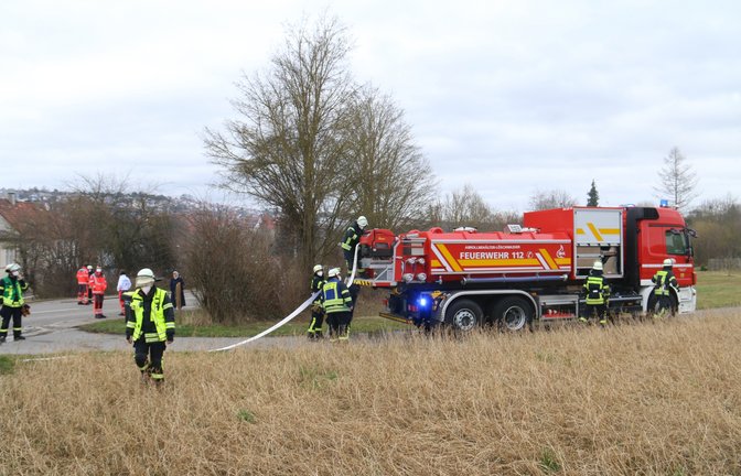 brand