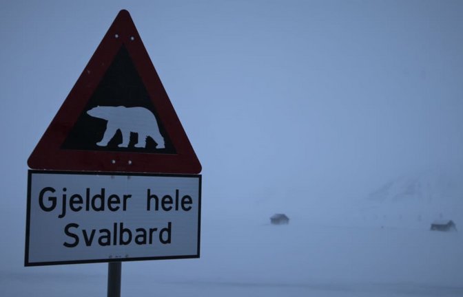 Auf der nordnorwegischen Inselgruppe Spitzbergen (in norwegisch: Svalbard) gibt es keine gefährliche Hitze – dafür aber Eisbären.<span class='image-autor'>Steffen Trumpf/dpa</span>