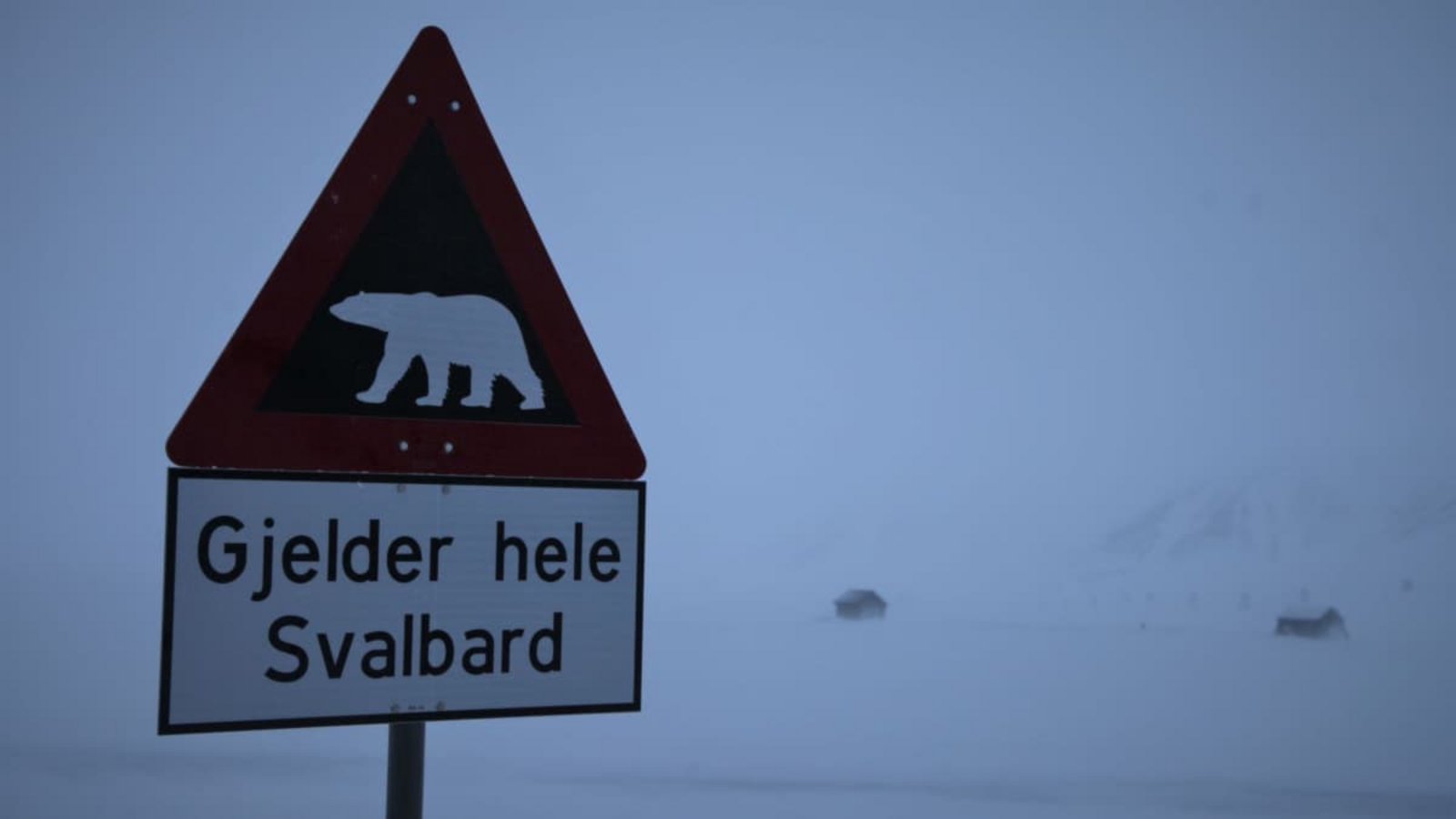 Auf der nordnorwegischen Inselgruppe Spitzbergen (in norwegisch: Svalbard) gibt es keine gefährliche Hitze – dafür aber Eisbären.Steffen Trumpf/dpa Auf der nordnorwegischen Inselgruppe Spitzbergen (in norwegisch: Svalbard) gibt es keine gefährliche Hitze – dafür aber Eisbären.Steffen Trumpf/dpa