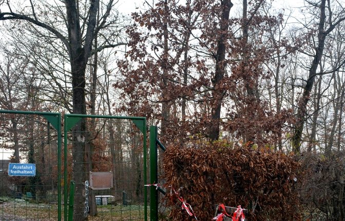 Auf diesem Grundstück in der Goethestraße soll ein Kiga gebaut werden. Ein Streitpunkt sind die Bäume. <span class='image-autor'>Foto: sta</span>