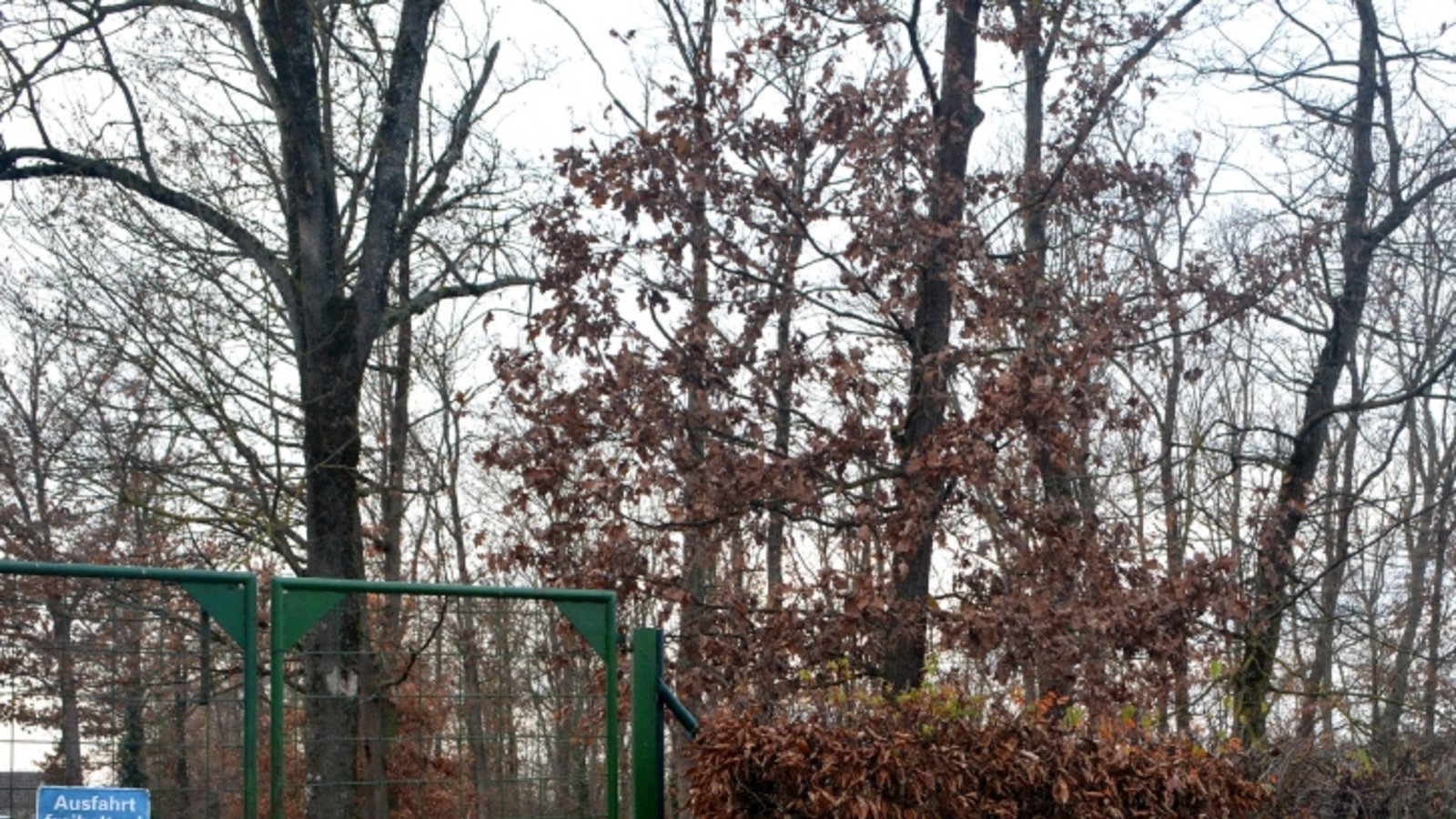Auf diesem Grundstück in der Goethestraße soll ein Kiga gebaut werden. Ein Streitpunkt sind die Bäume. Foto: sta