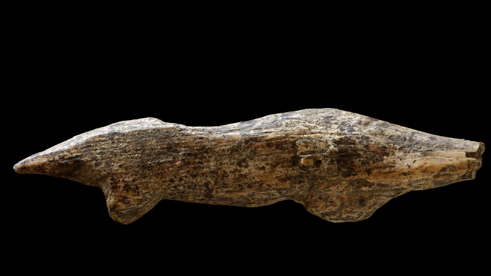 „Fund des Jahres“: Eine 40 000 bis 38 000 Jahre alte Tierfigurine aus Mammutelfenbein, die einen Otter darstellen soll.Foto: Universität Tübingen/Ria Litzenberg/Weltkultursprung „Fund des Jahres“: Eine 40 000 bis 38 000 Jahre alte Tierfigurine aus Mammutelfenbein, die einen Otter darstellen soll.Foto: Universität Tübingen/Ria Litzenberg/Weltkultursprung