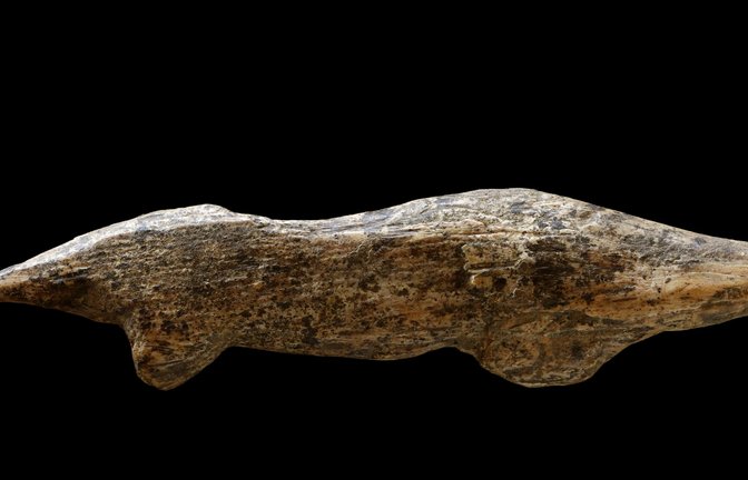 „Fund des Jahres“: Eine 40 000 bis 38 000 Jahre alte Tierfigurine aus Mammutelfenbein, die einen Otter darstellen soll.<span class='image-autor'>Foto: Universität Tübingen/Ria Litzenberg/Weltkultursprung</span>
