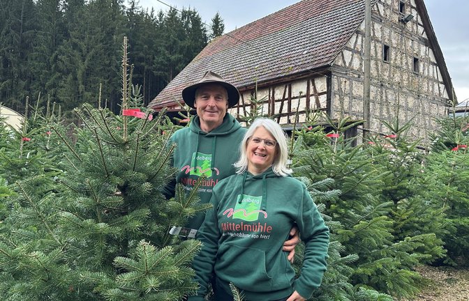 Harald und Sabine Müller zwischen ihren Weihnachtsbäumen in der Mittelmühle in Adelberg.<span class='image-autor'>Foto: Krug</span>