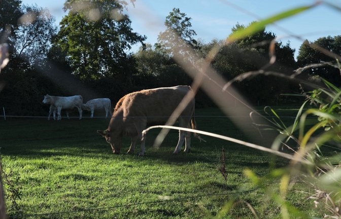 Landleben ist schön. Doch in den Jugendbüchern „Faustschlag von rechts“ und „Scheinland“ ist die Idylle trügerisch.<span class='image-autor'>Foto: imago/serienlicht</span>