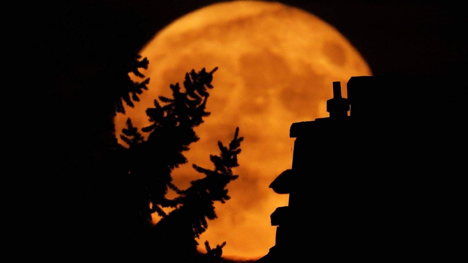 Der Mond befindet sich näher an der Erde als sonst. (Archiv)Foto: IMAGO/Hartenfelser/IMAGO/Peter Hartenfelser