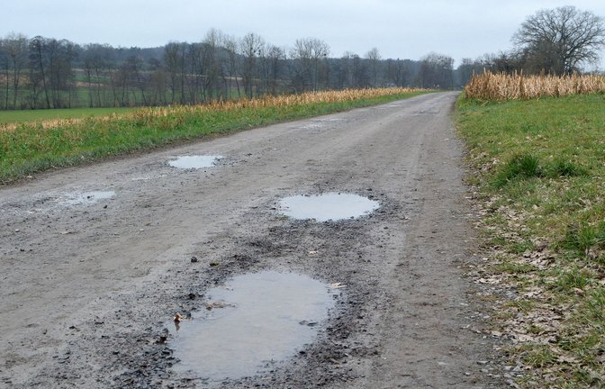 Die Sanierung dieses Radwegs stellt die Illinger Gemeinderäte vor große Probleme.  <span class='image-autor'>Foto: sta</span>