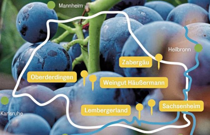 Die Stadt Sachsenheim und die Projektpartner freuen sich auf einen virtuellen Besuch.  Foto: p