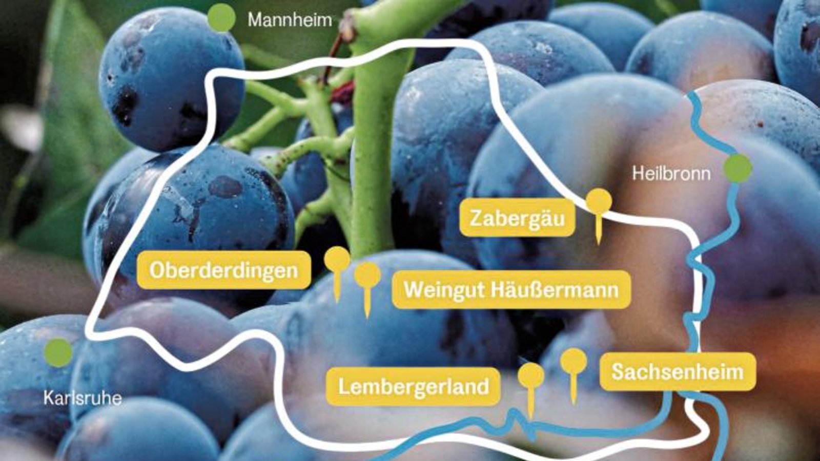 Die Stadt Sachsenheim und die Projektpartner freuen sich auf einen virtuellen Besuch. Foto: p Die Stadt Sachsenheim und die Projektpartner freuen sich auf einen virtuellen Besuch. Foto: p