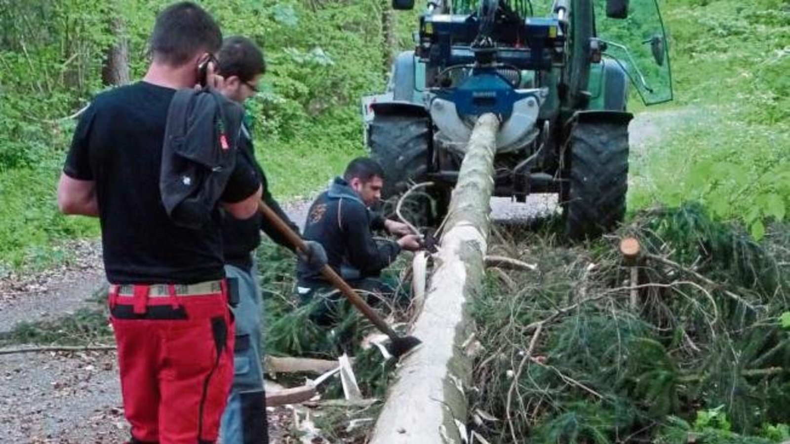 In Oberriexingen darf man sich auf einen neuen Maibaum freuen: Die Feuerwehr hat sich im Reutwald einen ansehnlichen Stamm ausgesucht und gleich an Ort und Stelle bearbeitet. Foto: Arning In Oberriexingen darf man sich auf einen neuen Maibaum freuen: Die Feuerwehr hat sich im Reutwald einen ansehnlichen Stamm ausgesucht und gleich an Ort und Stelle bearbeitet. Foto: Arning