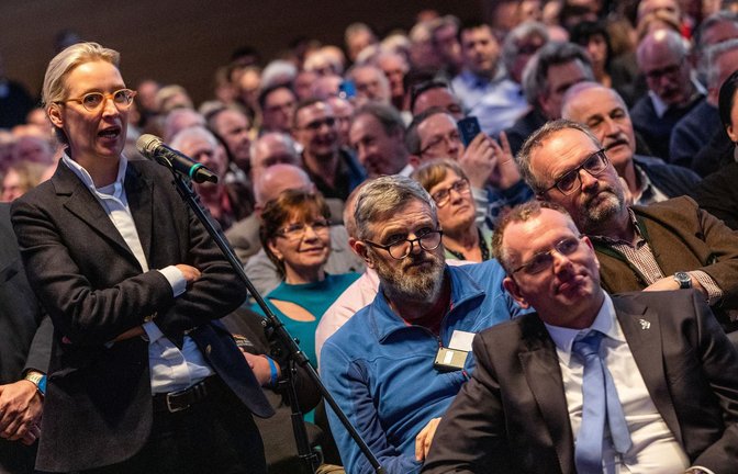 Alice Weidel muss auch am Saalmikrofon anstehen.<span class='image-autor'>Foto: dpa/Christoph Schmidt</span>
