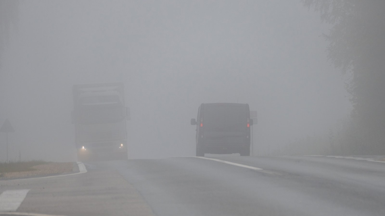 Bei dichtem Nebel sind sich viele Autofahrer unsicher, welches Licht sie benutzen sollen. Alles Wichtige dazu erfahren Sie hier.Foto: Edijs K / Shutterstock.com Bei dichtem Nebel sind sich viele Autofahrer unsicher, welches Licht sie benutzen sollen. Alles Wichtige dazu erfahren Sie hier.Foto: Edijs K / Shutterstock.com