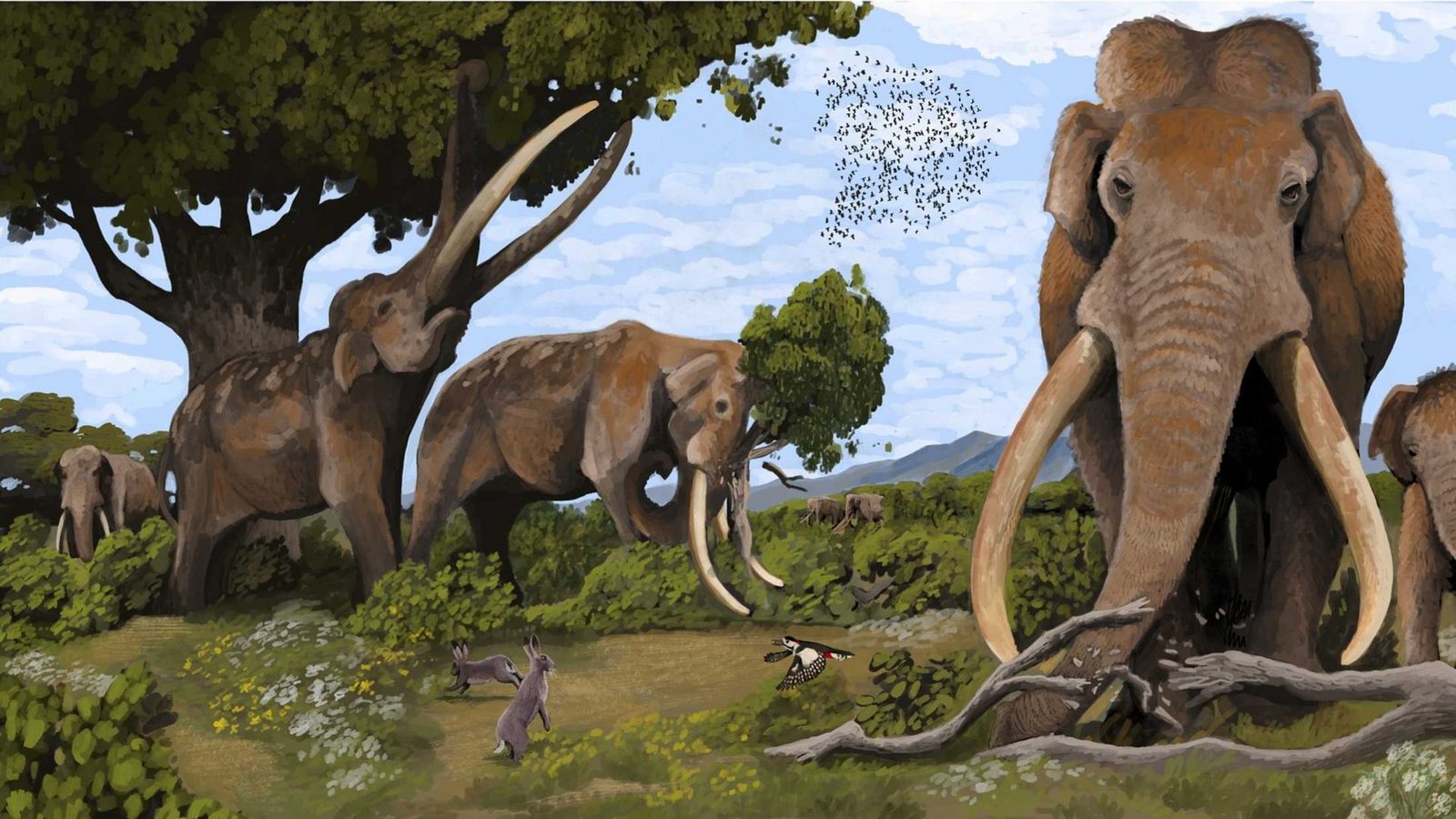 Vor 120.000 Jahren waren Europäische Waldelefanten (Palaeoloxodon antiquus) in Europa verbreitet.Foto: Hodari Nundu, CC-BY-4/Universität Frankfurt Vor 120.000 Jahren waren Europäische Waldelefanten (Palaeoloxodon antiquus) in Europa verbreitet.Foto: Hodari Nundu, CC-BY-4/Universität Frankfurt
