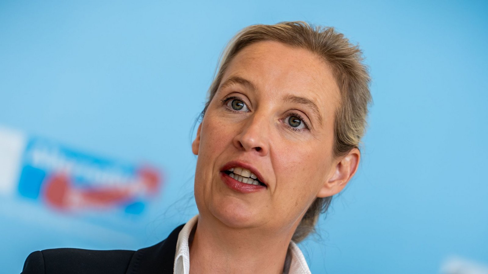 AfD-Bundes- und Fraktionsvorsitzende Alice WeidelFoto: Michael Kappeler/dpa/Michael Kappeler