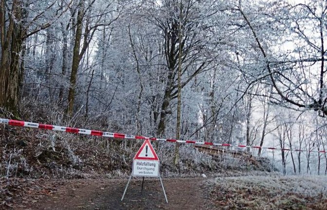 Aufgepasst im Wald: Fällungen und Eislasten können zur Gefahr werden.  Foto: Rücker