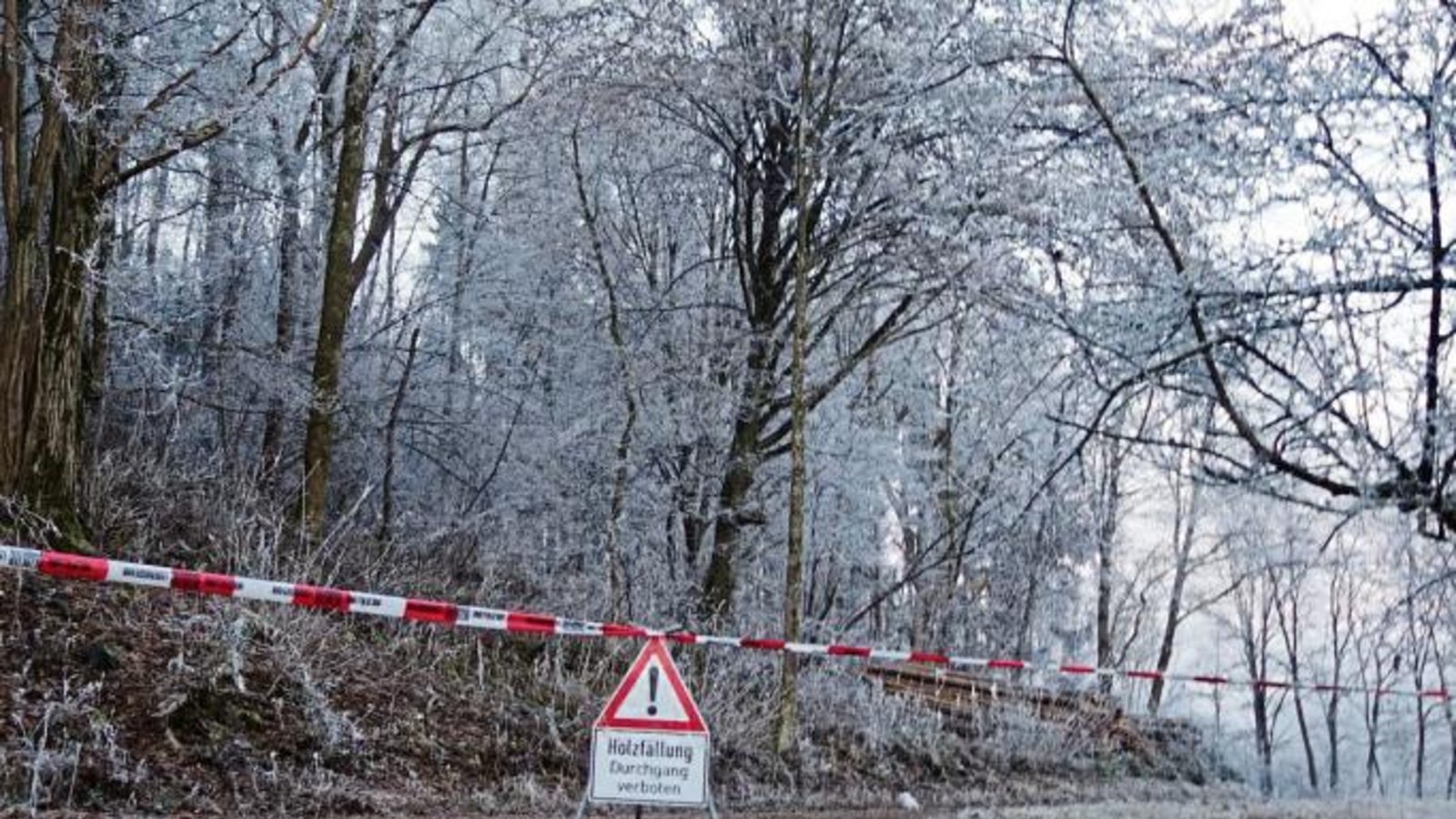 Aufgepasst im Wald: Fällungen und Eislasten können zur Gefahr werden.  Foto: Rücker