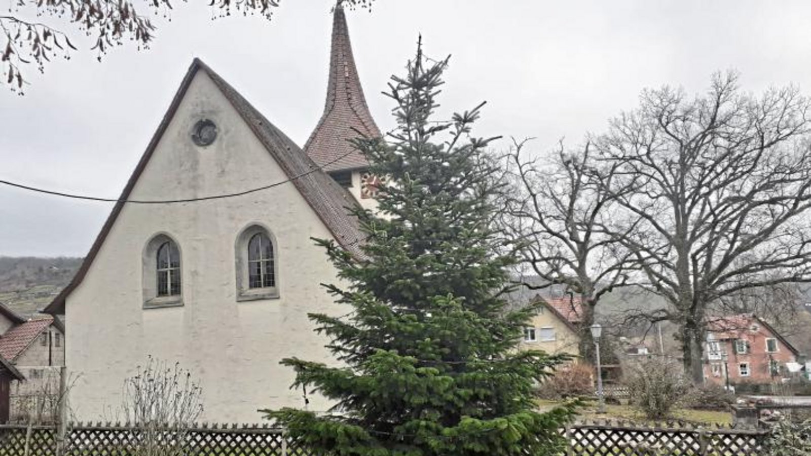 Der Protest hat gewirkt: Der neue Weihnachtsbaum in Ochsenbach kann sich nicht nur beleuchtet, sondern auch am Tag sehen lassen. Foto: Glemser Der Protest hat gewirkt: Der neue Weihnachtsbaum in Ochsenbach kann sich nicht nur beleuchtet, sondern auch am Tag sehen lassen. Foto: Glemser