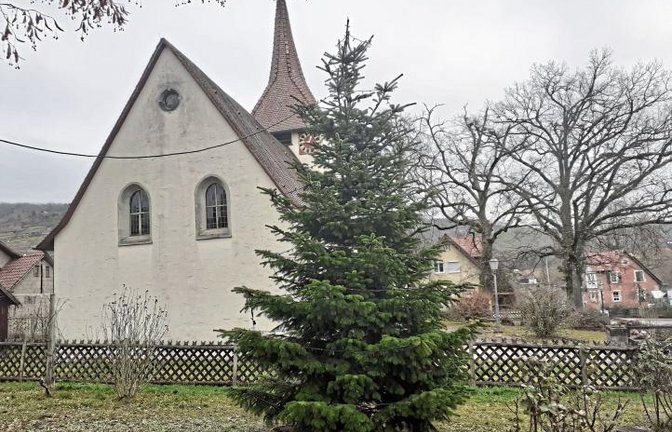 Der Protest hat gewirkt: Der neue Weihnachtsbaum in Ochsenbach kann sich nicht nur beleuchtet, sondern auch am Tag sehen lassen.  Foto: Glemser
