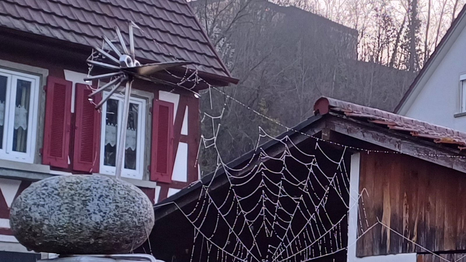 Dieser komische Vogel hält in Aurich brav das Spinnennetz.  Foto: Rücker
