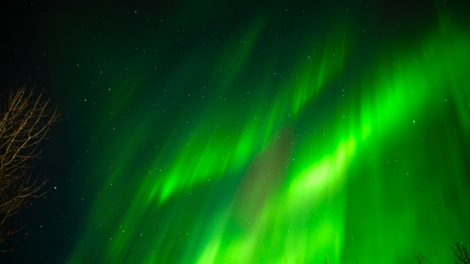 Heute Nacht gibt es keine Chance mehr auf Polarlichter.Foto: Jacktamrong / shutterstock.com Heute Nacht gibt es keine Chance mehr auf Polarlichter.Foto: Jacktamrong / shutterstock.com