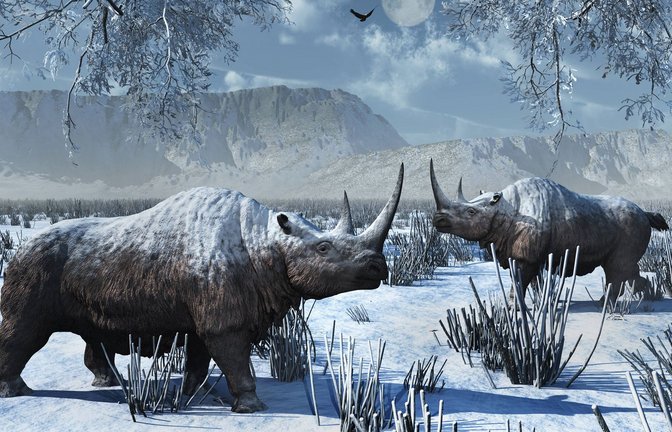 Das ikonische Wollnashorn starb vor etwa 10 000 Jahren aus. Verantwortlich war offenbar die Bejagung durch den Menschen in Kombination mit klimatischen Veränderungen.<span class='image-autor'>Foto: Imago/StockTrek Images</span>