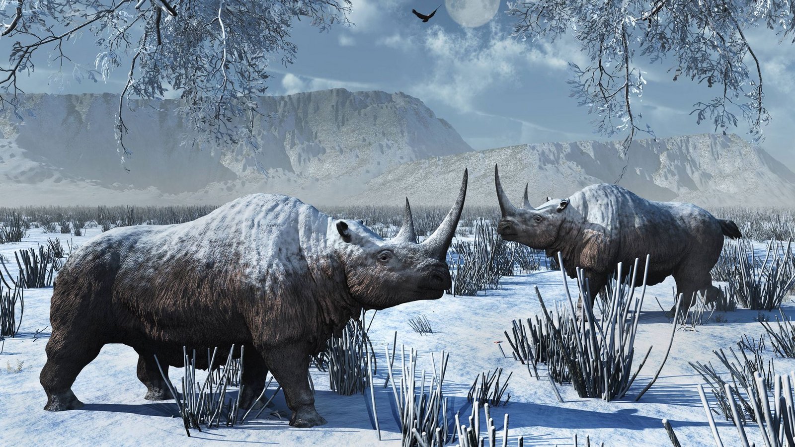 Das ikonische Wollnashorn starb vor etwa 10 000 Jahren aus. Verantwortlich war offenbar die Bejagung durch den Menschen in Kombination mit klimatischen Veränderungen.Foto: Imago/StockTrek Images Das ikonische Wollnashorn starb vor etwa 10 000 Jahren aus. Verantwortlich war offenbar die Bejagung durch den Menschen in Kombination mit klimatischen Veränderungen.Foto: Imago/StockTrek Images