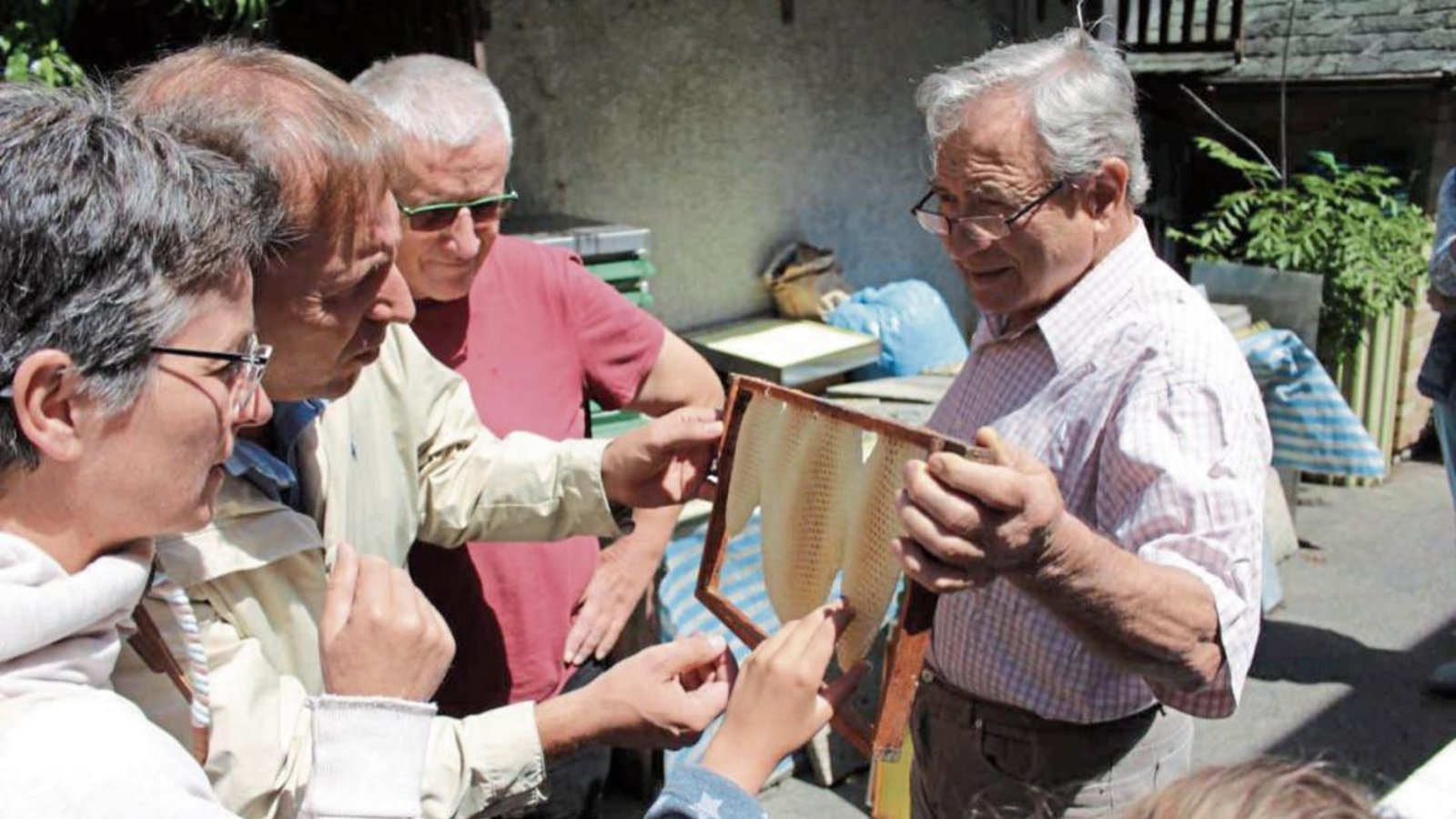 Imker Gerhard Haffner (rechts) erklärt dem Nussdorfer Umweltteam die Lebensweise der Bienen. Fotos: p Imker Gerhard Haffner (rechts) erklärt dem Nussdorfer Umweltteam die Lebensweise der Bienen. Fotos: p