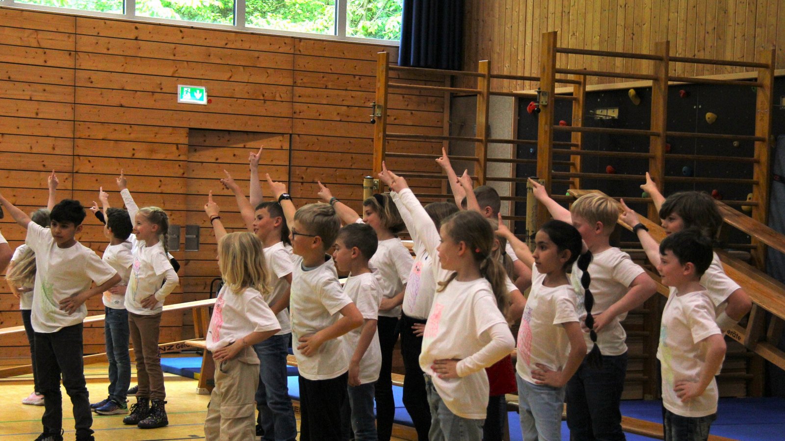Mit Liedern, Gesang und einer Turneinlage bedankt sich die Ensinger Grundschule bei den Spendern für das neue Klettergerüst. Die Feier wird wegen des Wetters in die Forchenwaldhalle verlegt, deswegen gibt es an diesem Nachmittag lediglich eine kleinen „Nachbau“ des Gerüsts zu sehen.