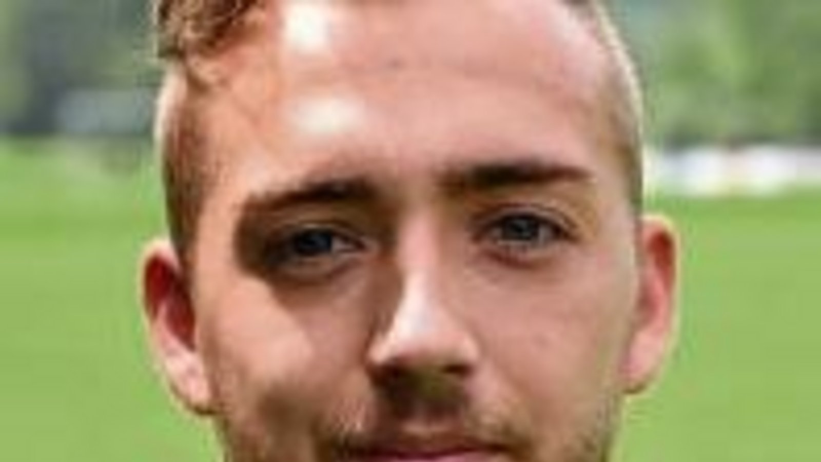 Lukas Strauß, Lukas Strauß,