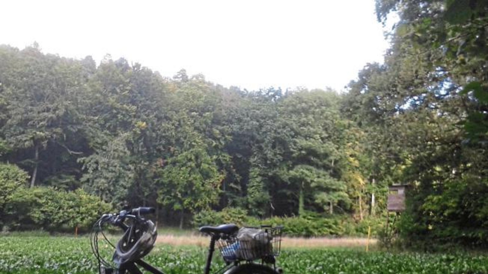 Petra und Detlef Große aus Kleinglattbach haben die S-VKZ-Tour nach Besigheim gemacht. Ihre Impressionen: „Was für eine tolle Tour, die uns am Montag übers Weitfeld, an Sachsenheim vorbei, weiter auf dem Enztalweg über Bissingen und Bietigheim nach Besigheim führte. In der malerischen Altstadt sind die Restaurants auch Montags geöffnet und servieren leckere Gerichte. Der Rückweg durch das Brachbergertal und den Grillplatz Eselshütte oberhalb Metterzimmerns zeigt, wie schön die nähere Umgebung ist, wenn man hinschaut. Natürlich wird das (erweiterte) Startgeld auf das angegebene Konto überwiesen.“ Und dieser Beitrag kommt auch in den Lostopf, wo es eine Jahresration Ensinger zu gewinnen gibt. Foto: p Petra und Detlef Große aus Kleinglattbach haben die S-VKZ-Tour nach Besigheim gemacht. Ihre Impressionen: „Was für eine tolle Tour, die uns am Montag übers Weitfeld, an Sachsenheim vorbei, weiter auf dem Enztalweg über Bissingen und Bietigheim nach Besigheim führte. In der malerischen Altstadt sind die Restaurants auch Montags geöffnet und servieren leckere Gerichte. Der Rückweg durch das Brachbergertal und den Grillplatz Eselshütte oberhalb Metterzimmerns zeigt, wie schön die nähere Umgebung ist, wenn man hinschaut. Natürlich wird das (erweiterte) Startgeld auf das angegebene Konto überwiesen.“ Und dieser Beitrag kommt auch in den Lostopf, wo es eine Jahresration Ensinger zu gewinnen gibt. Foto: p
