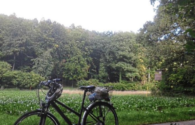 Petra und Detlef Große aus Kleinglattbach haben die S-VKZ-Tour nach Besigheim gemacht. Ihre Impressionen: „Was für eine tolle Tour, die uns am Montag übers Weitfeld, an Sachsenheim vorbei, weiter auf dem Enztalweg über Bissingen und Bietigheim nach Besigheim führte. In der malerischen Altstadt sind die Restaurants auch Montags geöffnet und servieren leckere Gerichte. Der Rückweg durch das Brachbergertal und den Grillplatz Eselshütte oberhalb Metterzimmerns zeigt, wie schön die nähere Umgebung ist, wenn man hinschaut. Natürlich wird das (erweiterte) Startgeld auf das angegebene Konto überwiesen.“ Und dieser Beitrag kommt auch in den Lostopf, wo es eine Jahresration Ensinger zu gewinnen gibt. Foto: p