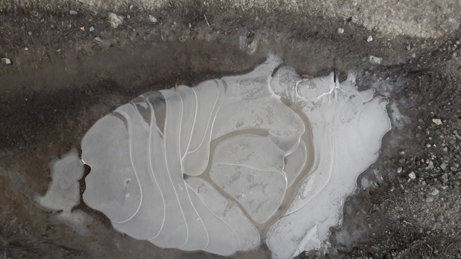 Gestern Morgen zeigte sich die Pfütze als Kunstwerk. Das sukzessive Gefrieren bringt wohl die Formen hervor. Es könnte sich auch um einen „Eisfisch“ handeln ... Foto: Rücker Gestern Morgen zeigte sich die Pfütze als Kunstwerk. Das sukzessive Gefrieren bringt wohl die Formen hervor. Es könnte sich auch um einen „Eisfisch“ handeln ... Foto: Rücker