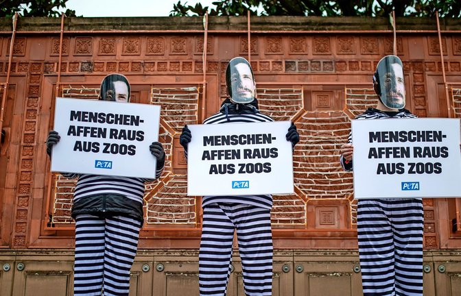 Am 18. Januar protestierte die Tierschutzorganisation Peta  gegen Affenhaltung in Zoos. Auch die  Tierschutzpartei sieht Zoos generell eher kritisch.<span class='image-autor'>Foto: Lichtgut/Christoph Schmidt</span>
