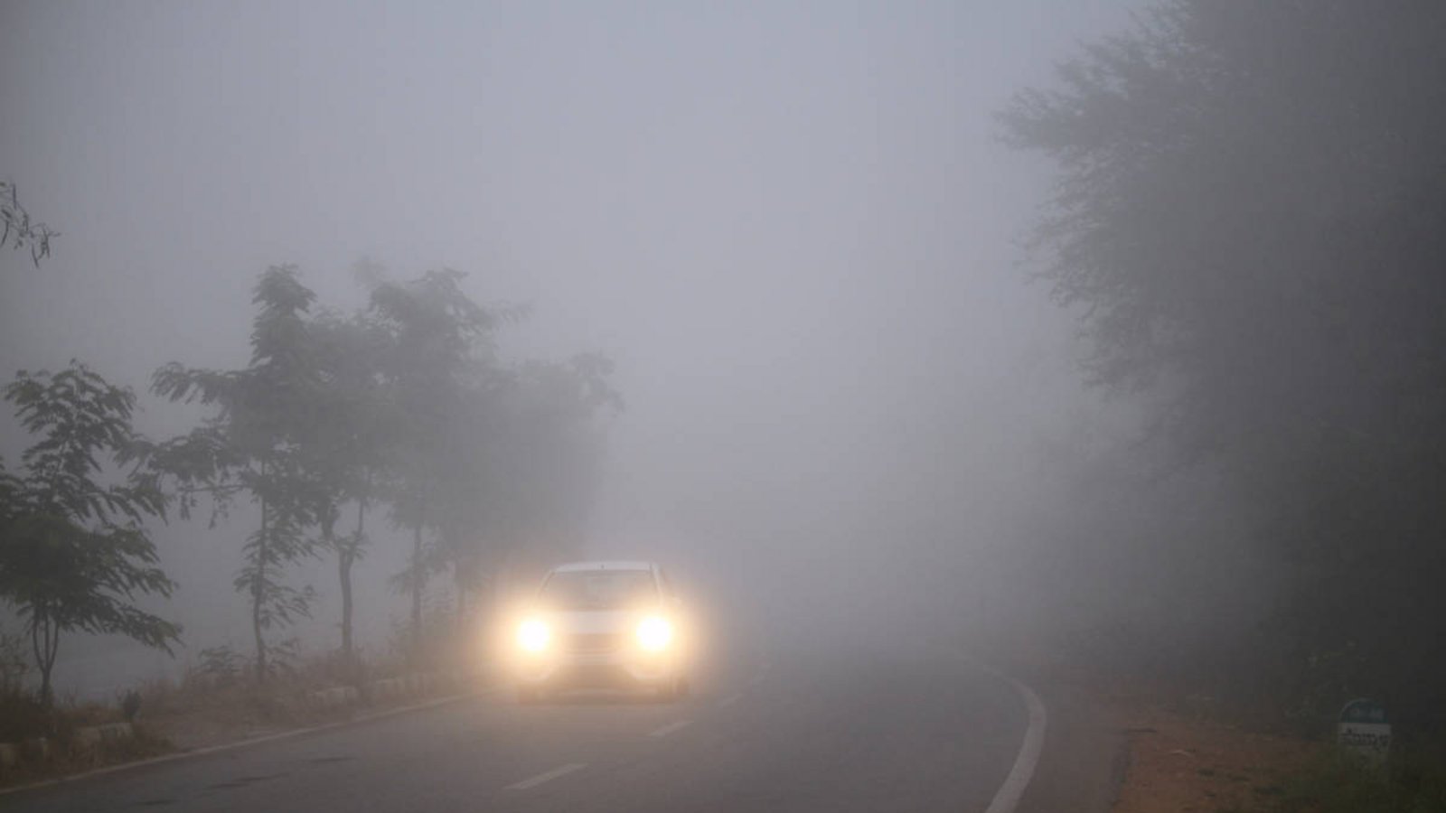 Bei dichtem Nebel sind sich viele Autofahrer unsicher, welches Licht sie benutzen sollen. Alles Wichtige dazu erfahren Sie hier.Foto: Manoj_kulkarni / Shutterstock.com