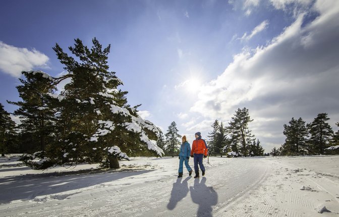 Die Schwäbische Alb ist auch im Winter ideales Terrain für Wanderungen.<span class='image-autor'>Foto: Albstadt/Schneewalzer</span>