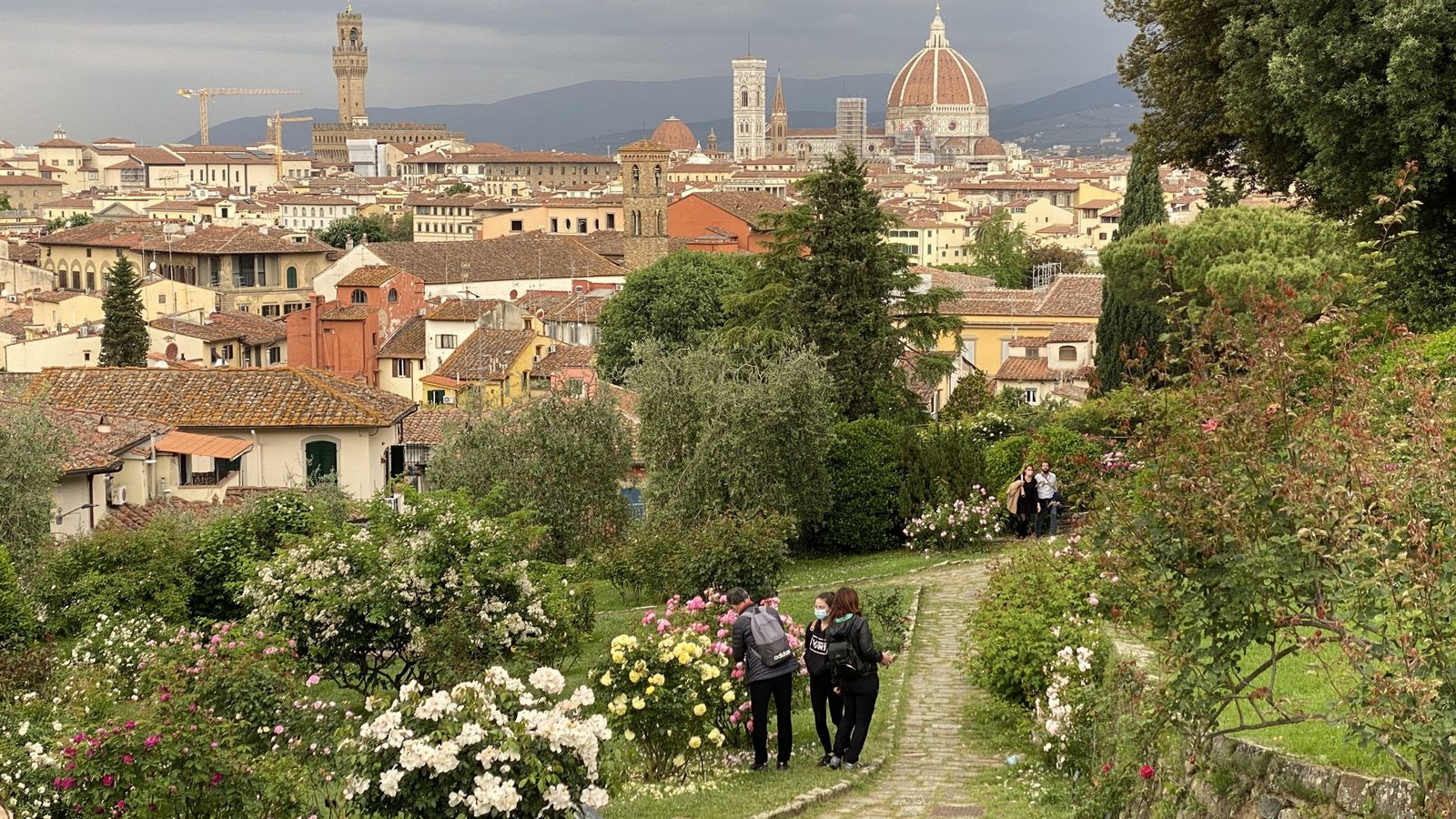Im Rosengarten von Florenz.Foto: Wilhelm Mierendorf
wm-foto@t.online.de Im Rosengarten von Florenz.Foto: Wilhelm Mierendorf
wm-foto@t.online.de