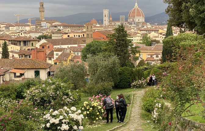 Im Rosengarten von Florenz.<span class='image-autor'>Foto: Wilhelm Mierendorf

wm-foto@t.online.de</span>