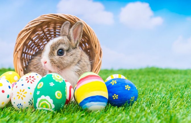 Warum bringt der Osterhase die Ostereier?<span class='image-autor'>Foto: jannoon028/Shutterstock</span>