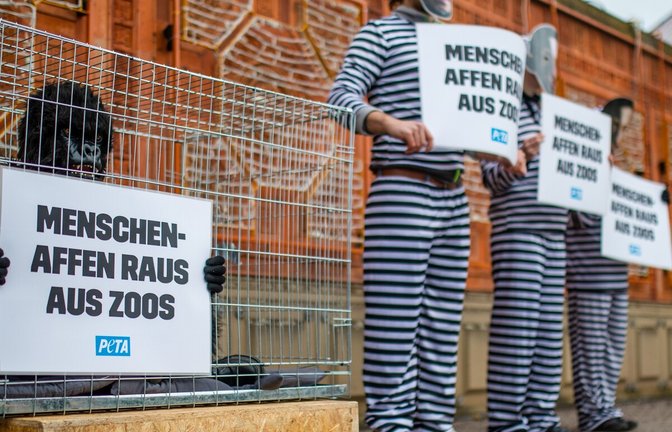 Anhänger der Tierrechtsorganisation Peta protestierten 2025 vor der Wilhelma gegen Affenhaltung in Zoos und erstatteten Anzeige – ohne Erfolg. Die Ermittlungen wurden eingestellt.<span class='image-autor'>Foto: Lichtgut/Christoph Schmidt</span>